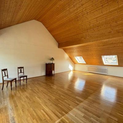 5. Giebelhoher Wohnraum