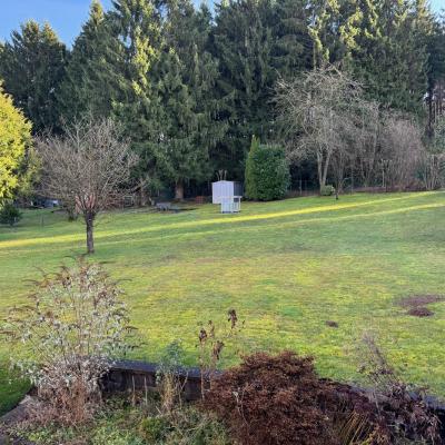 15. Blick In Den Garten