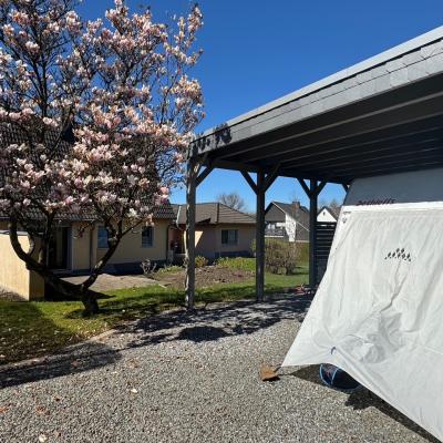 22. Herrlicher Magnolienbaum Neben Dem Carport