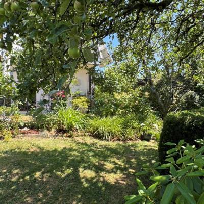 24. Garten Mit Apfelbaum Und Stauden
