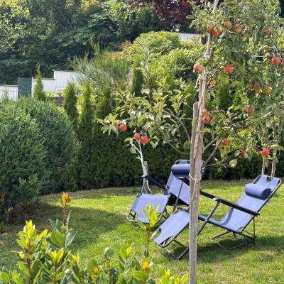 24. Garten